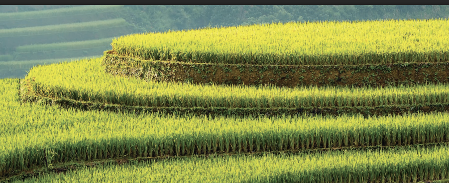 cho thuê văn phòng ảo hà nội